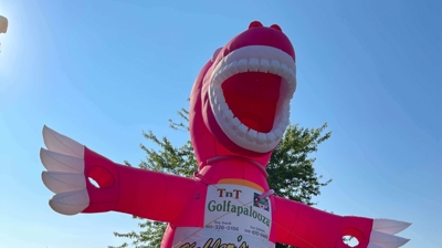 Blow-up Dinosaur Photo