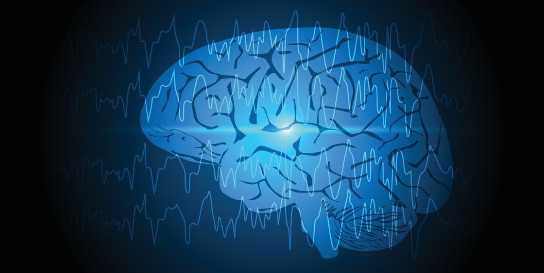 Graphic of the brain