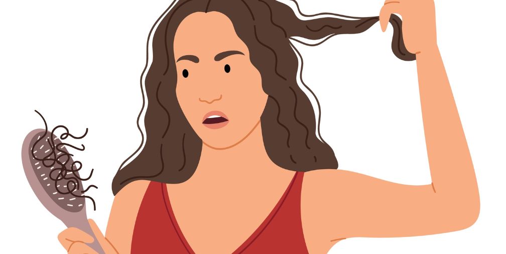 cartoon of a woman with a concerned look on her face, holding a hairbrush full of hair in one hand and a lock if hair in the other hand. 
